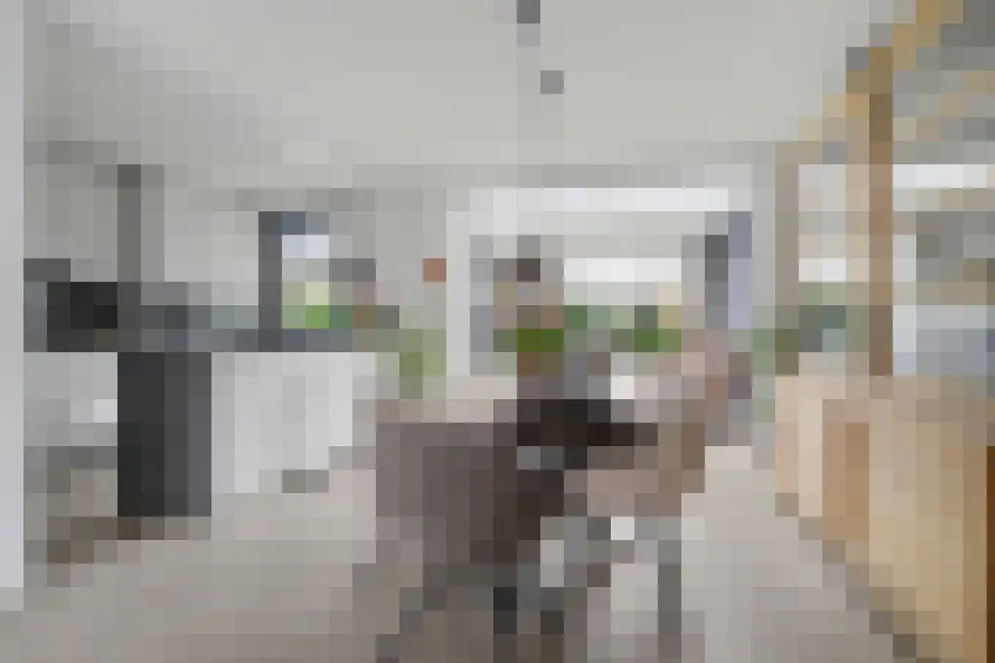 Moriaansdreef 116 Putte thumbnail 9