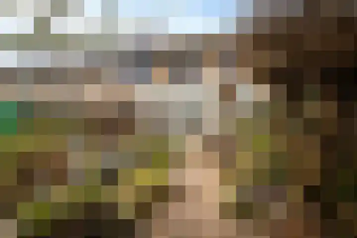 Moriaansdreef 36 Putte thumbnail 28