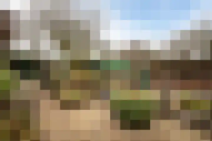 Moriaansdreef 36 Putte thumbnail 29