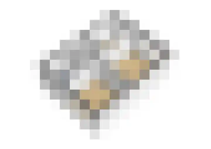 Moriaansdreef 36 Putte thumbnail 42
