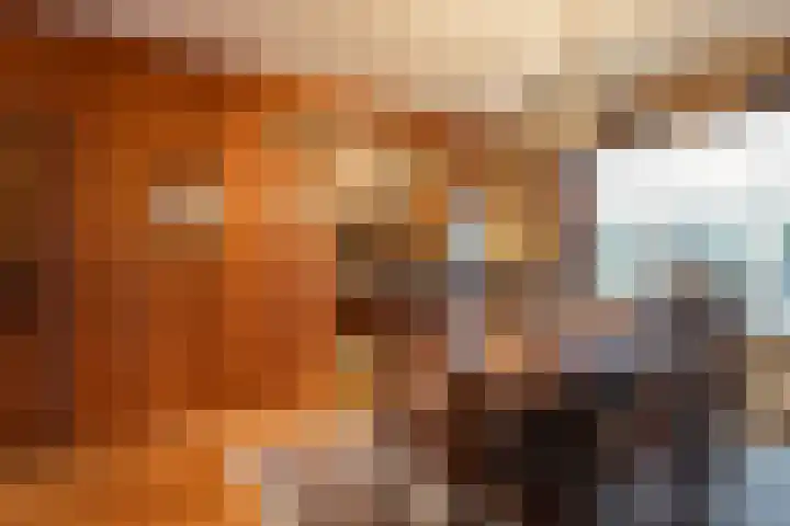 Moriaansdreef 36 Putte thumbnail 9
