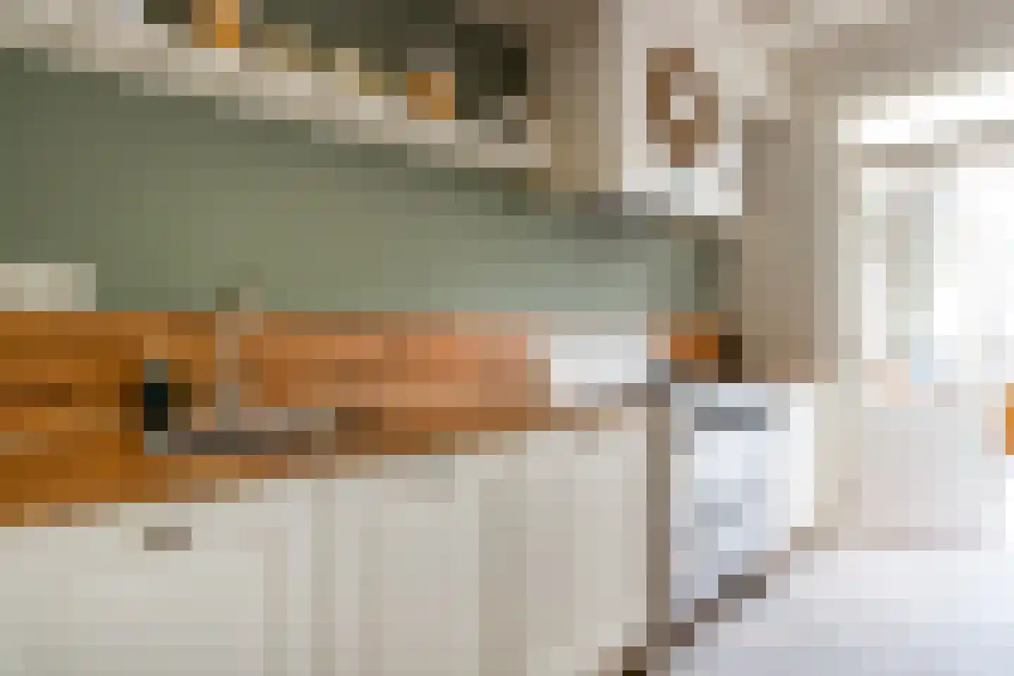 Moriaansdreef 58 Putte thumbnail 12