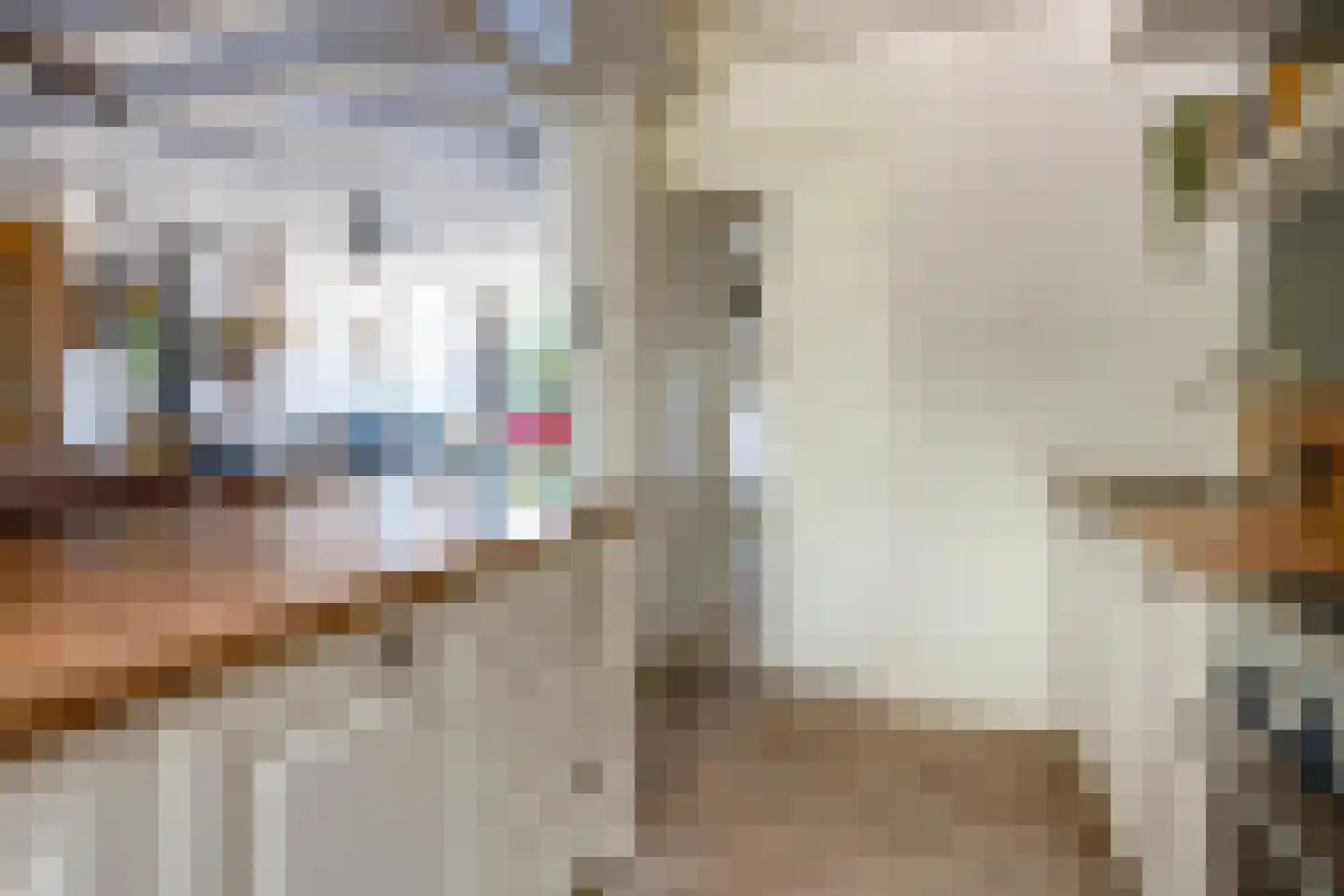 Moriaansdreef 58 Putte thumbnail 16