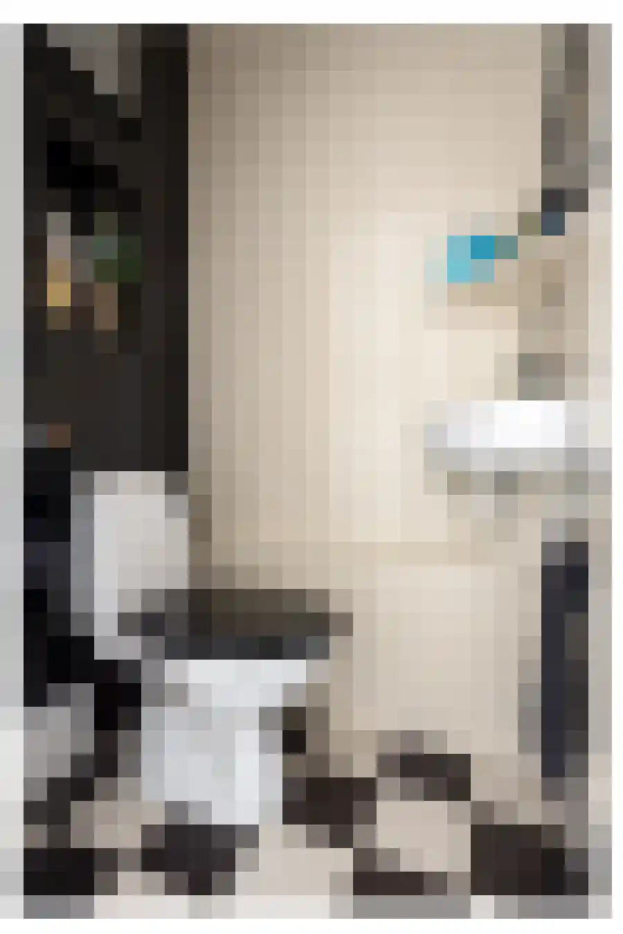 Moriaansdreef 58 Putte thumbnail 18