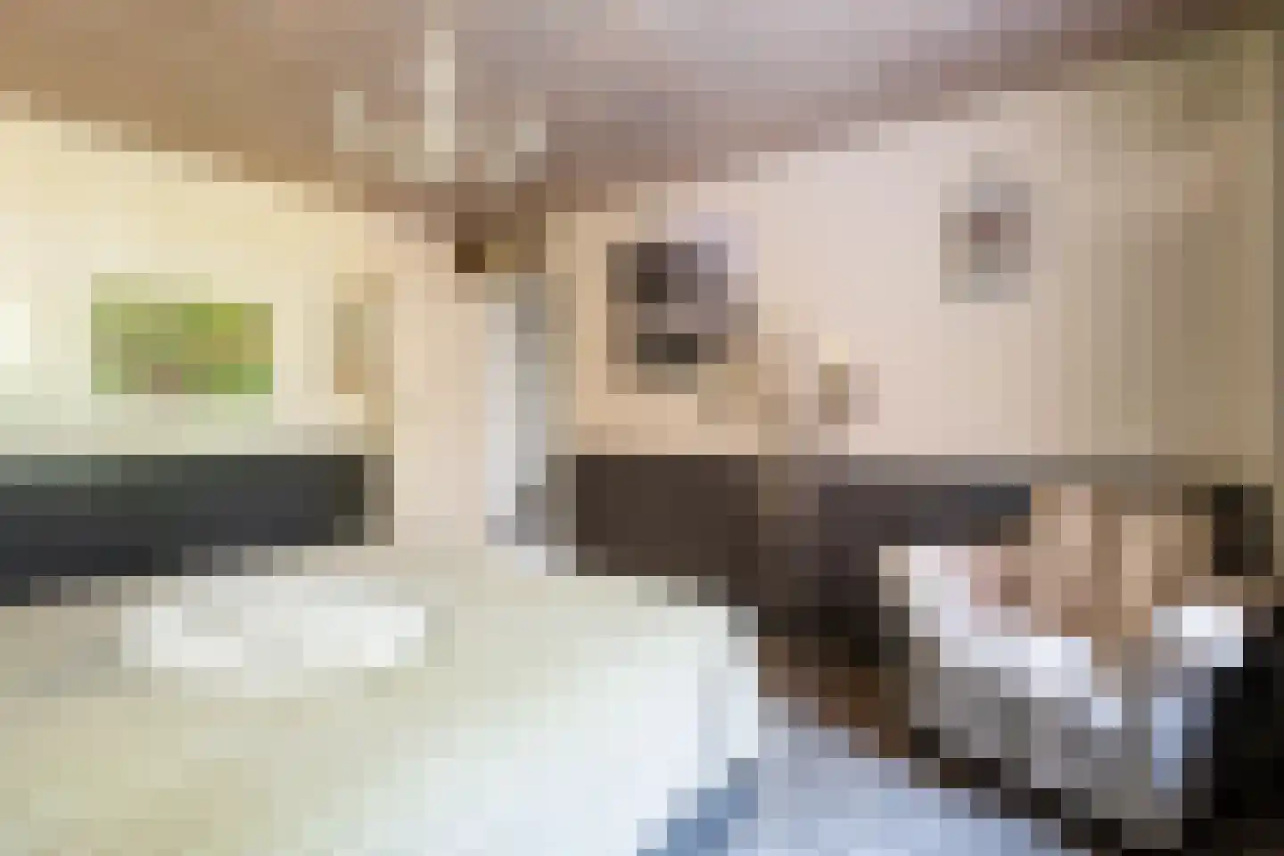 Moriaansdreef 58 Putte thumbnail 20