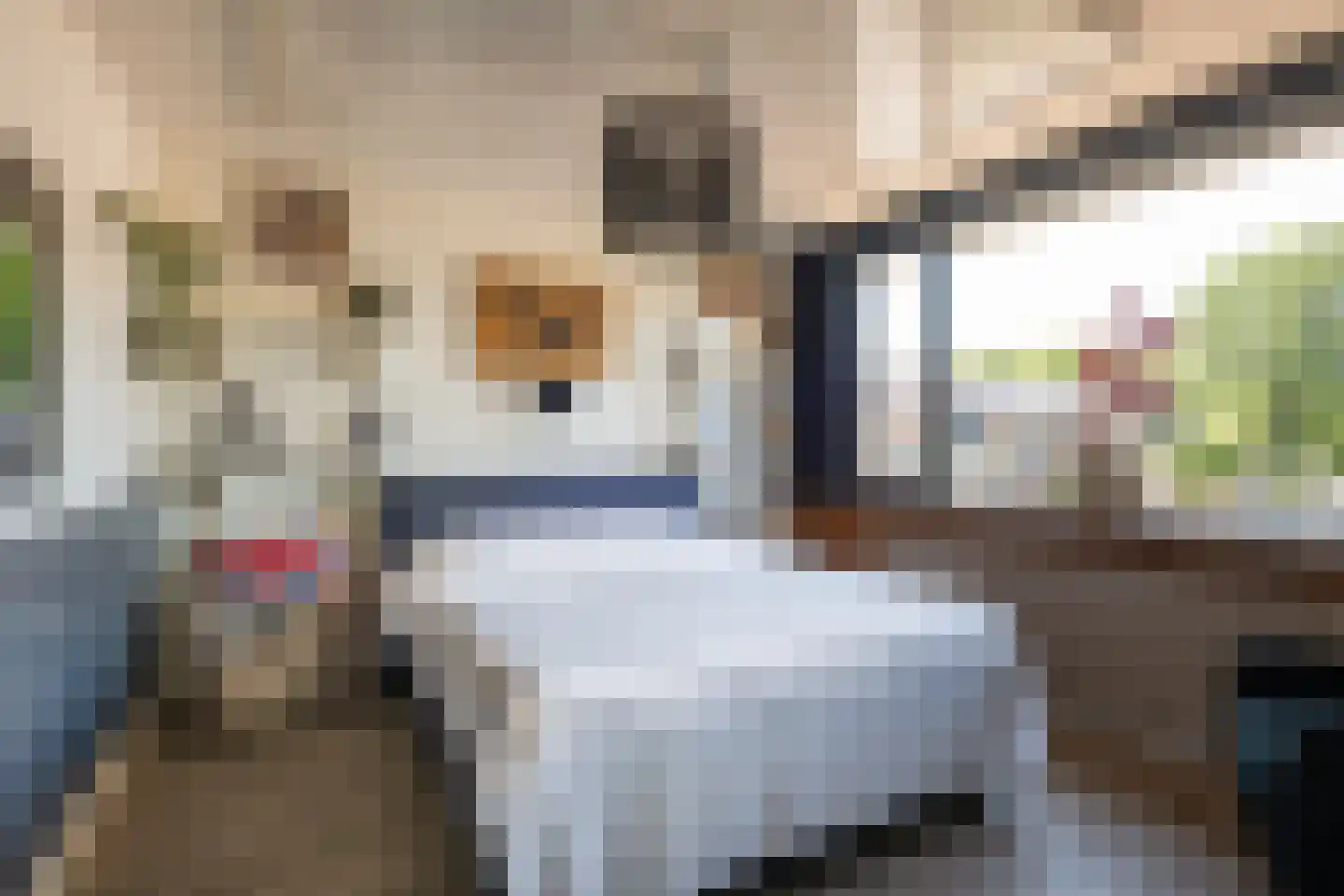 Moriaansdreef 58 Putte thumbnail 21