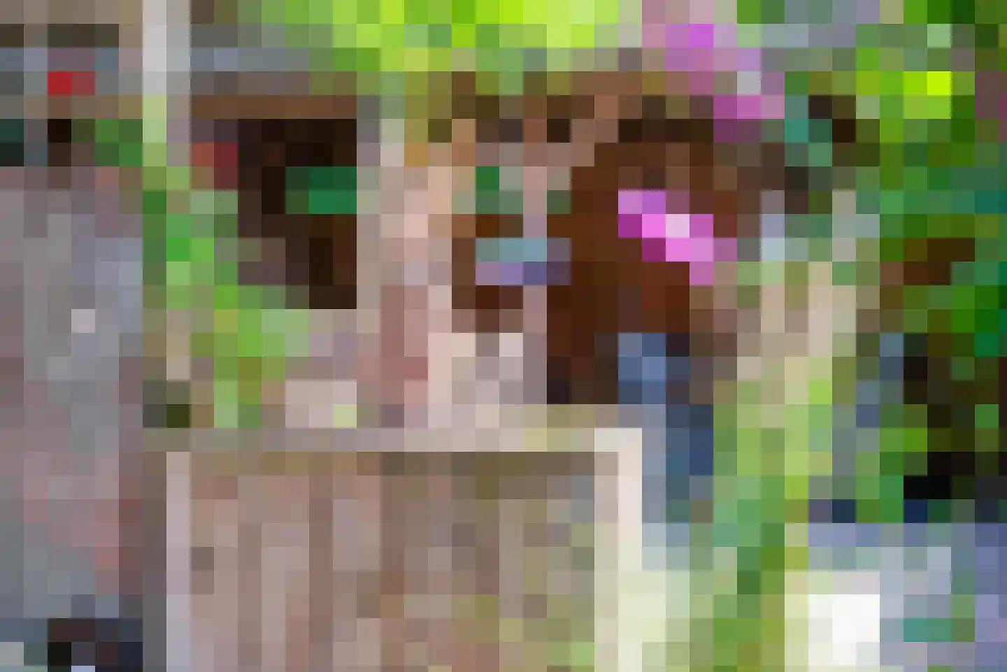 Moriaansdreef 58 Putte thumbnail 35