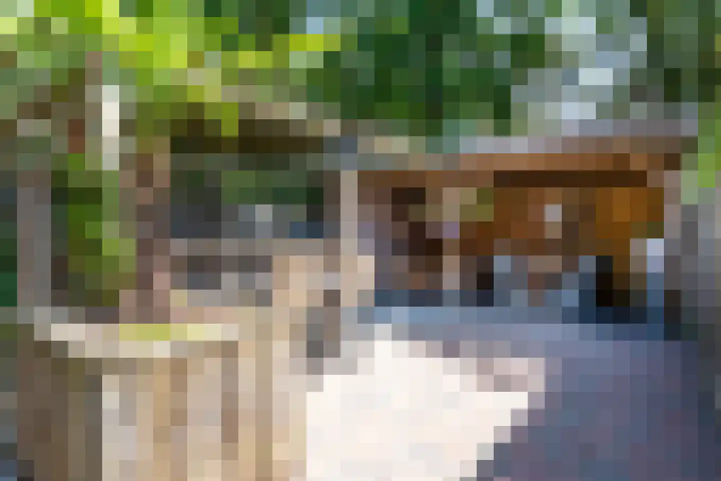 Moriaansdreef 58 Putte thumbnail 36