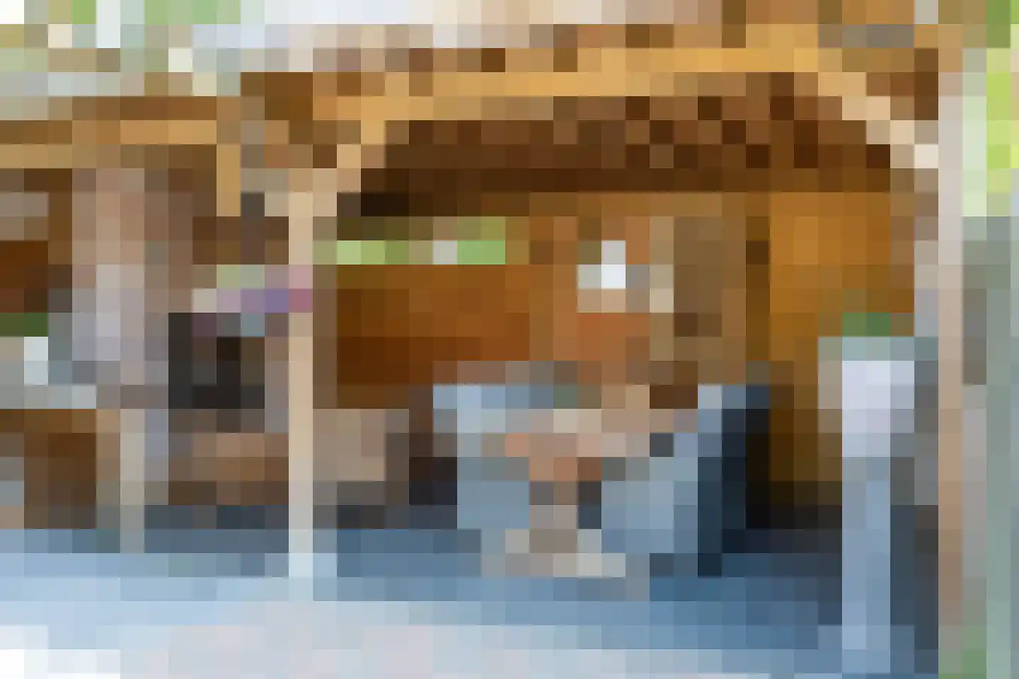 Moriaansdreef 58 Putte thumbnail 37