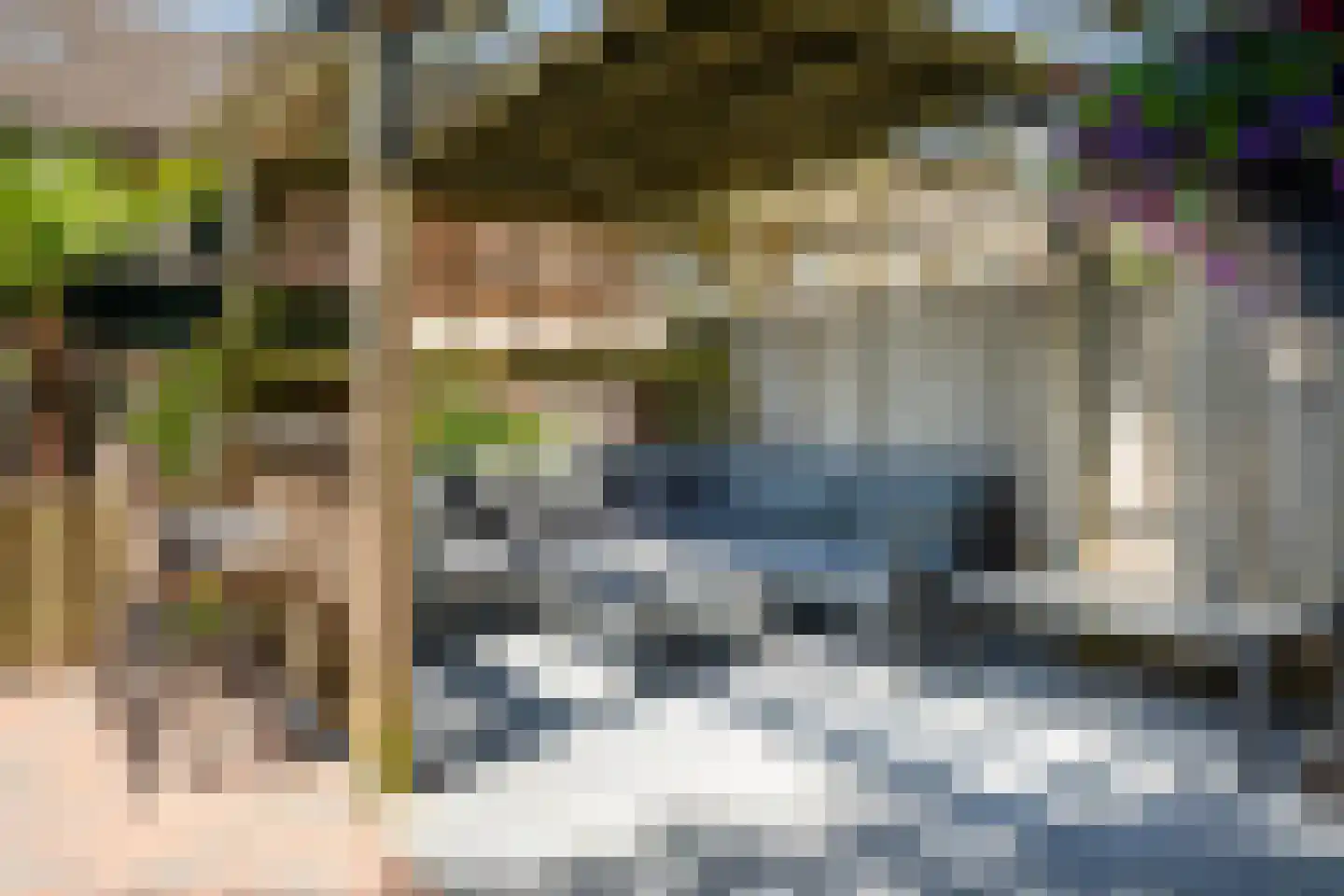 Moriaansdreef 58 Putte thumbnail 41
