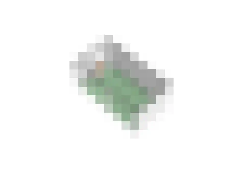Moriaansdreef 58 Putte thumbnail 57