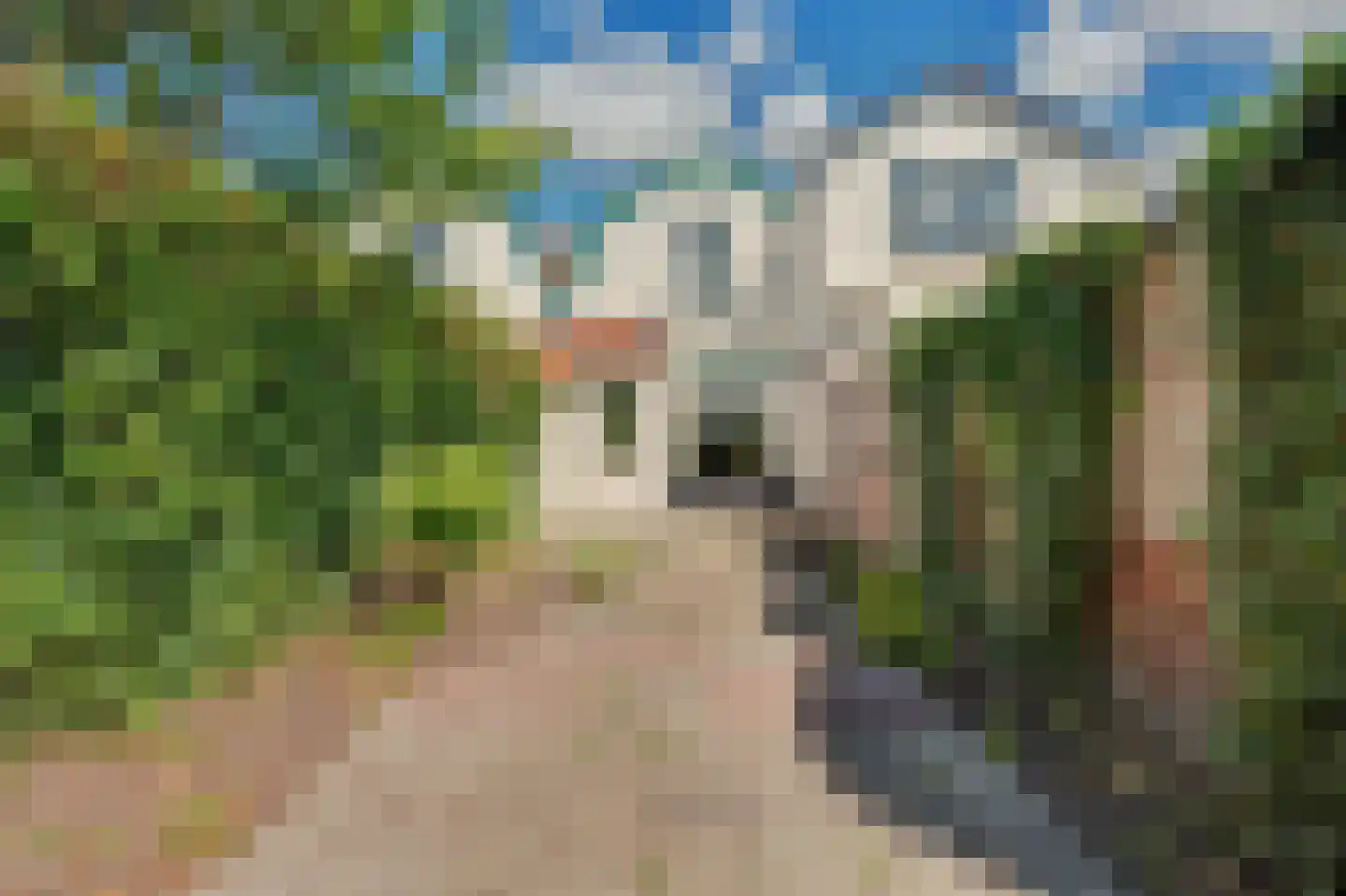 Moriaanseweg Oost 116 Hellevoetsluis thumbnail 24