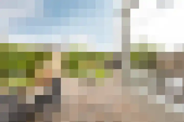 Moriaanseweg Oost 147 Hellevoetsluis thumbnail 20
