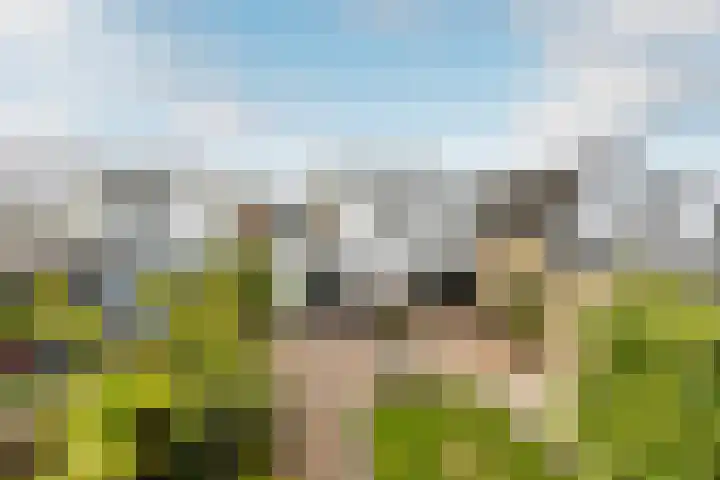 Moriaanseweg Oost 147 Hellevoetsluis thumbnail 30