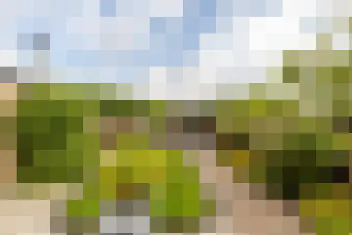 Moriaanseweg Oost 147 Hellevoetsluis thumbnail 33