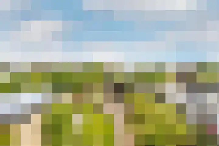 Moriaanseweg Oost 147 Hellevoetsluis thumbnail 4