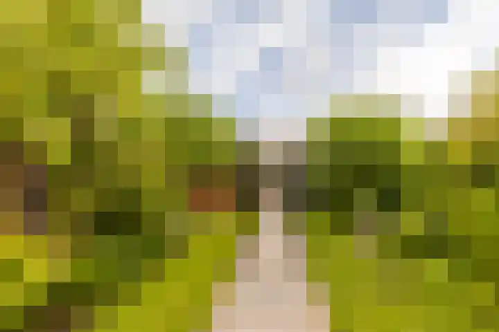 Moriaanseweg Oost 147 Hellevoetsluis thumbnail 41