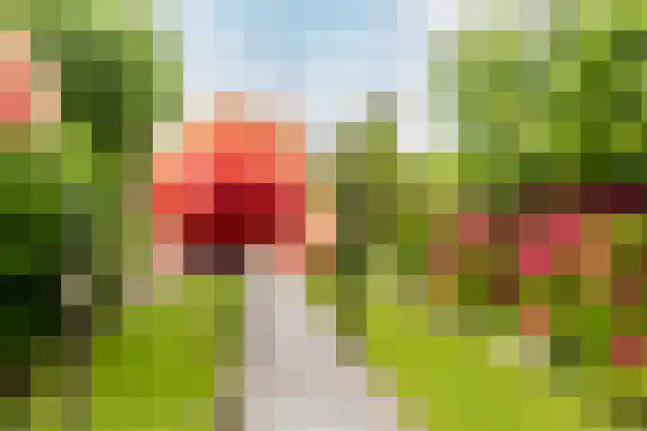 Moriaanseweg Oost 147 Hellevoetsluis thumbnail 42
