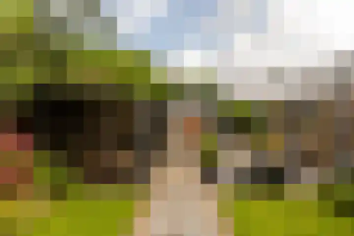 Moriaanseweg Oost 147 Hellevoetsluis thumbnail 44