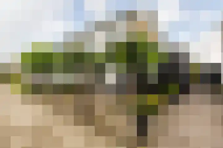 Moriaanseweg Oost 147 Hellevoetsluis thumbnail 7