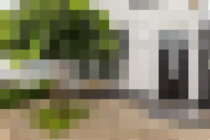Moriaanseweg Oost 147 Hellevoetsluis thumbnail 9