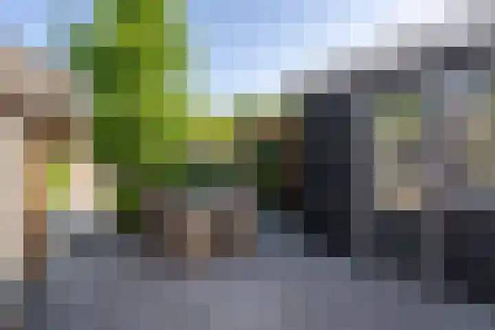 Moriaanseweg Oost 181 Hellevoetsluis thumbnail 28