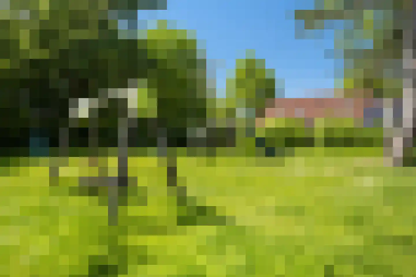Moriaanseweg Oost 207 Hellevoetsluis thumbnail 35
