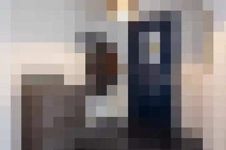 Moriaanstraat 26 Apeldoorn thumbnail 28