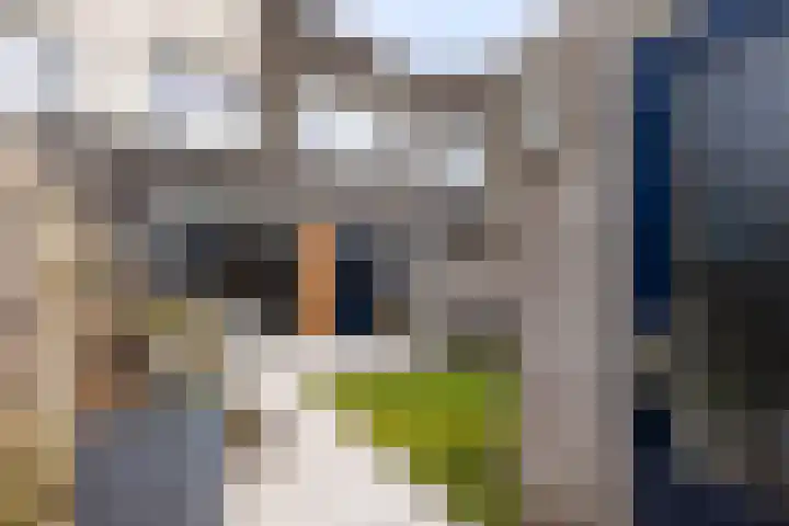 Moriaanstraat 26 Apeldoorn thumbnail 6