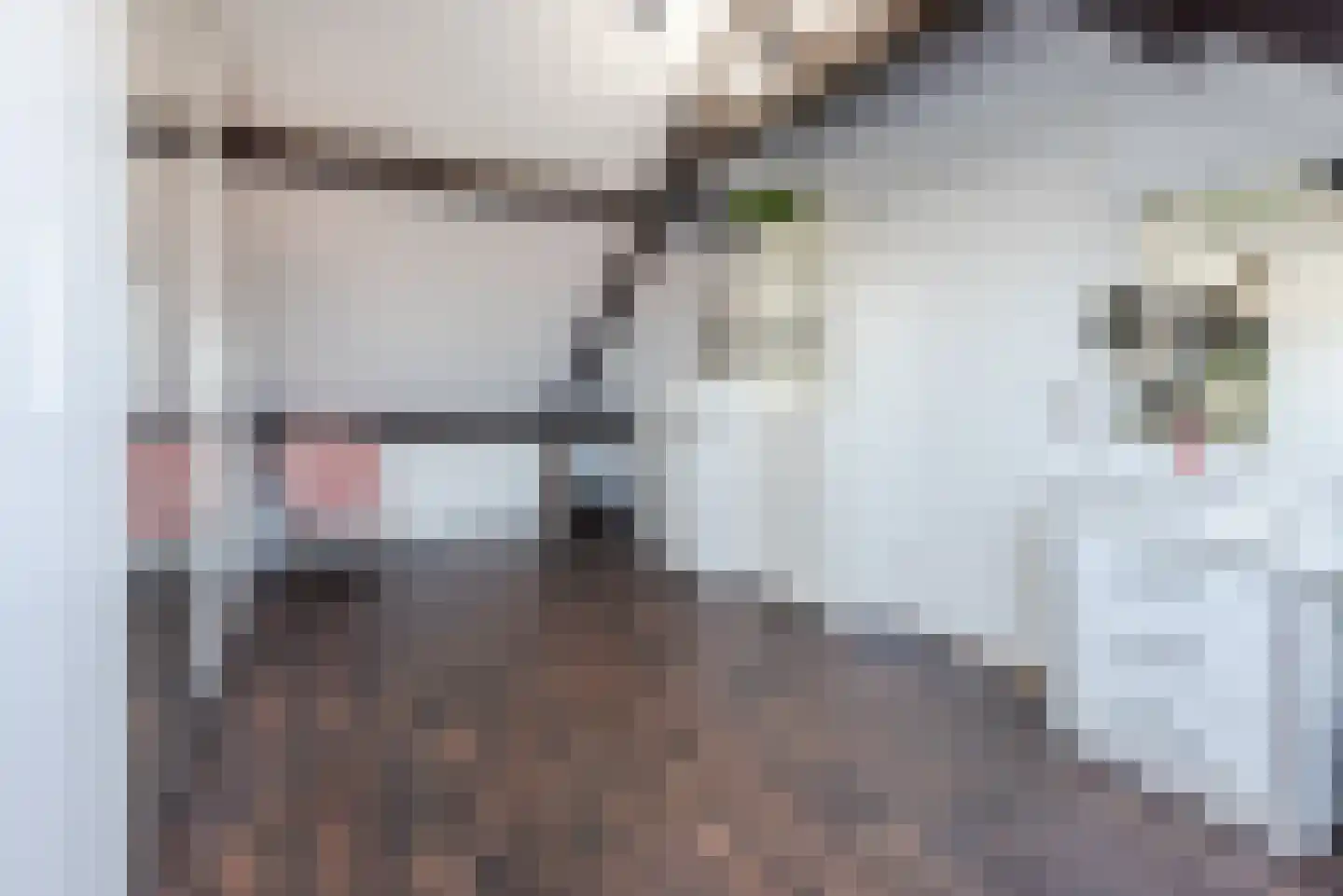 Morielje 9 Apeldoorn thumbnail 33
