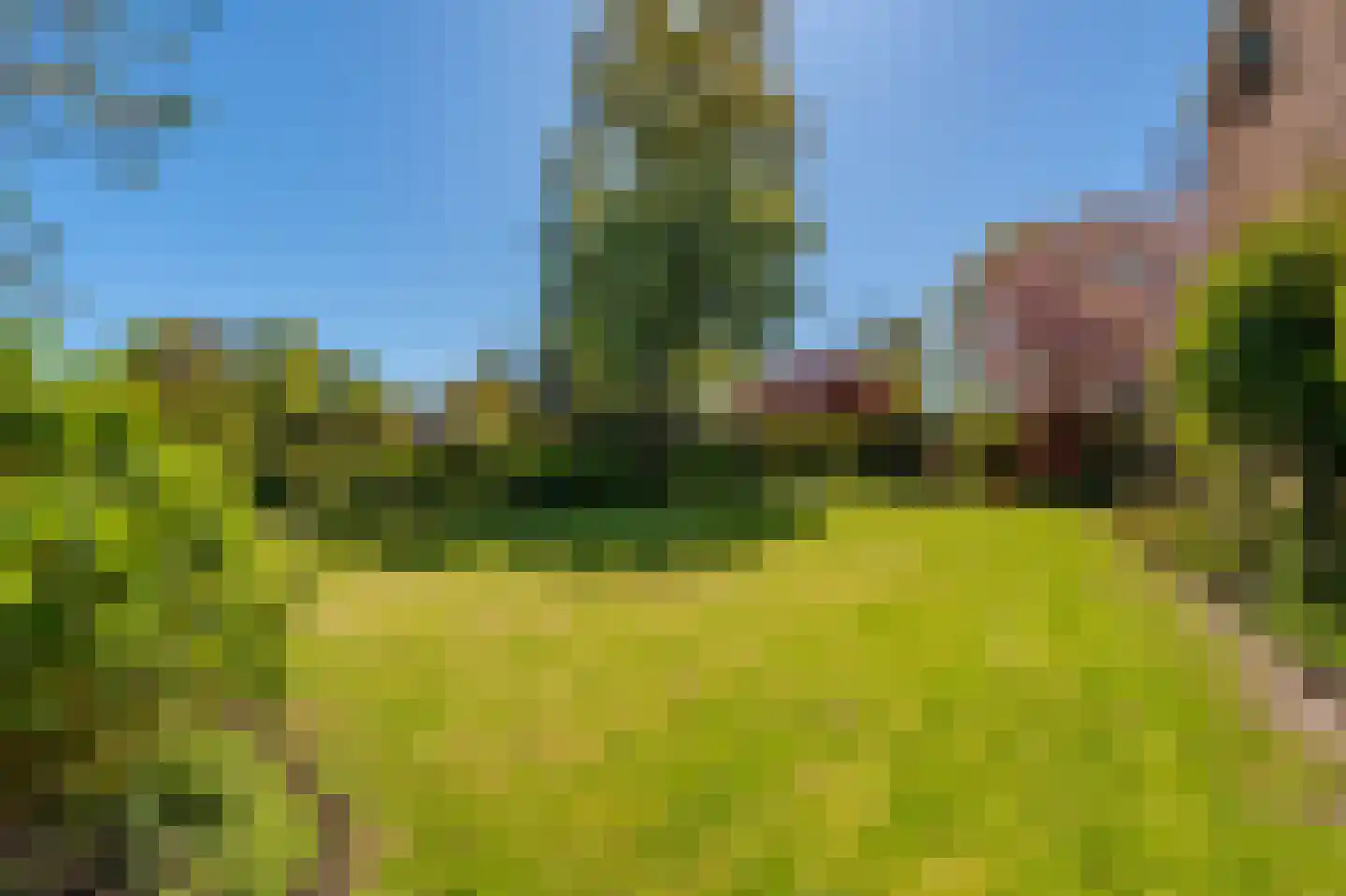 Morigerweg 26 Blijham thumbnail 11