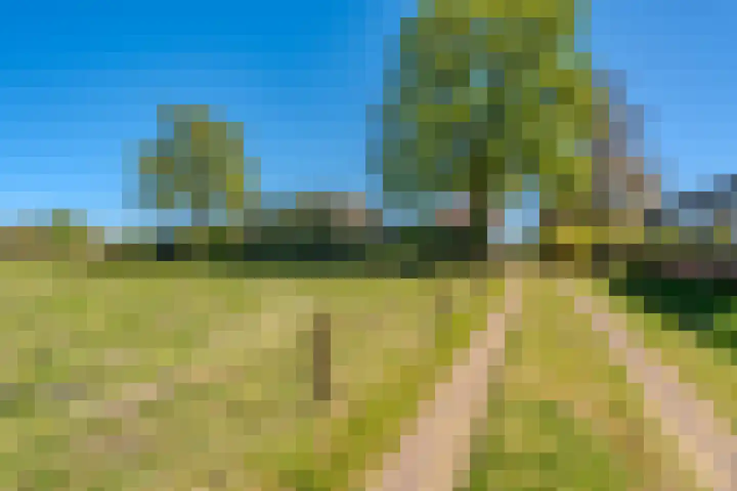 Morigerweg 26 Blijham thumbnail 21