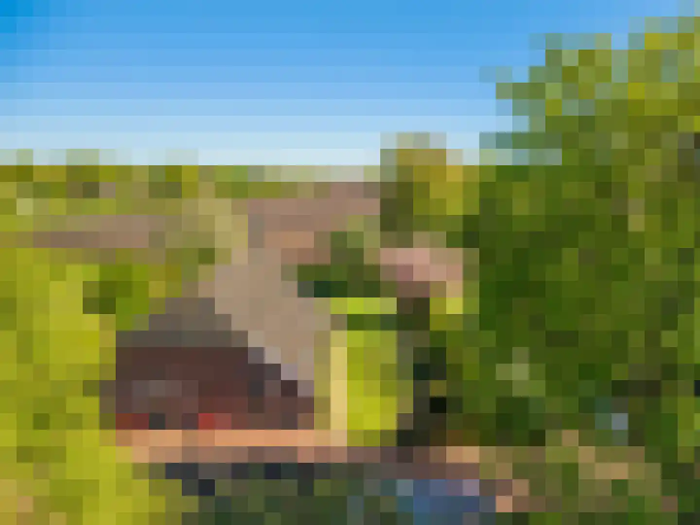 Morigerweg 26 Blijham thumbnail 26