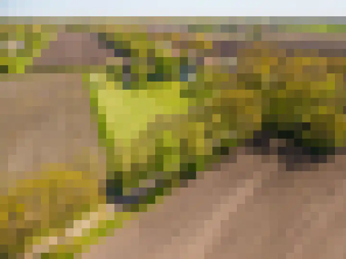 Morigerweg 26 Blijham thumbnail 29