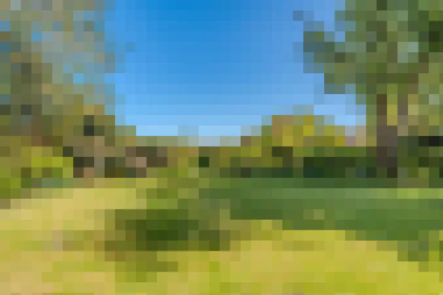 Morigerweg 26 Blijham thumbnail 9