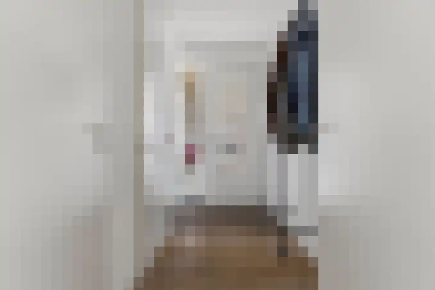 Morijnenhof 23 Schaijk thumbnail 15
