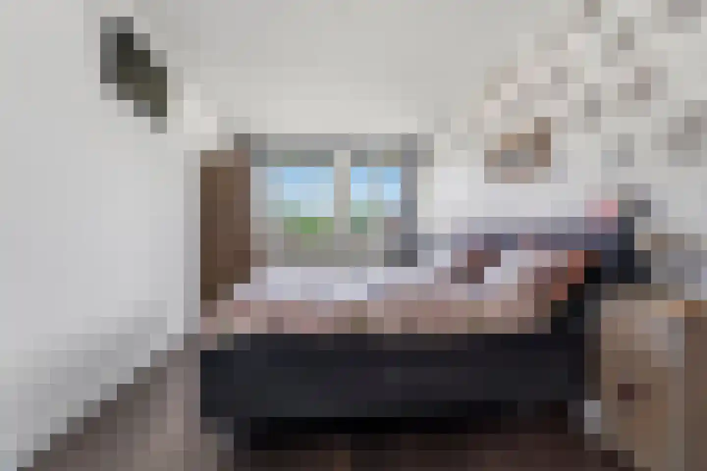 Morijnenhof 23 Schaijk thumbnail 27