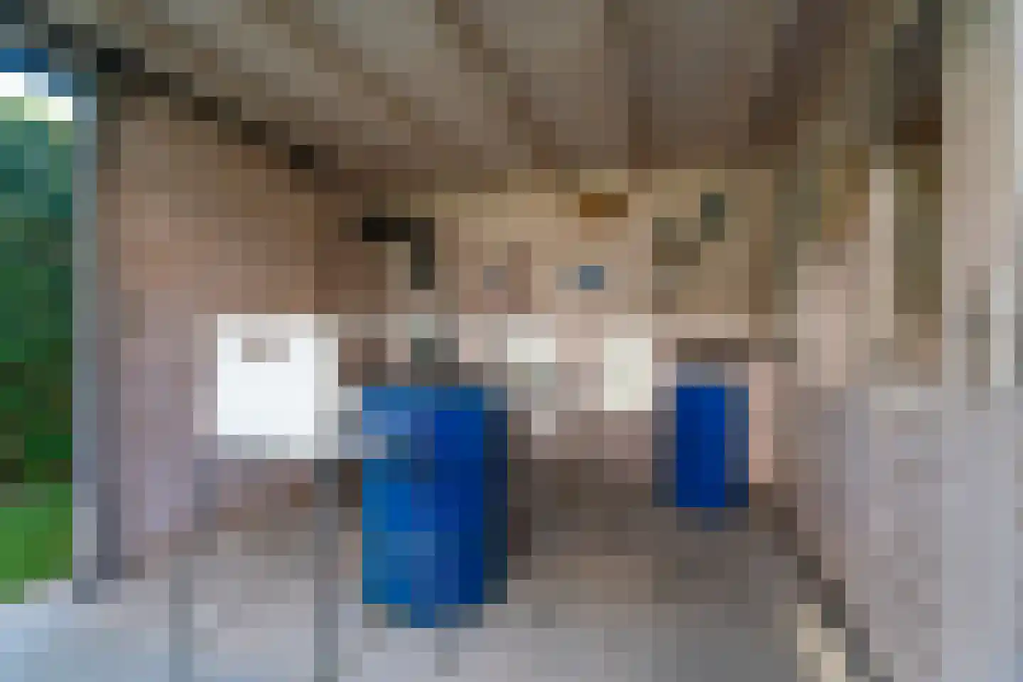 Morijnenhof 23 Schaijk thumbnail 44