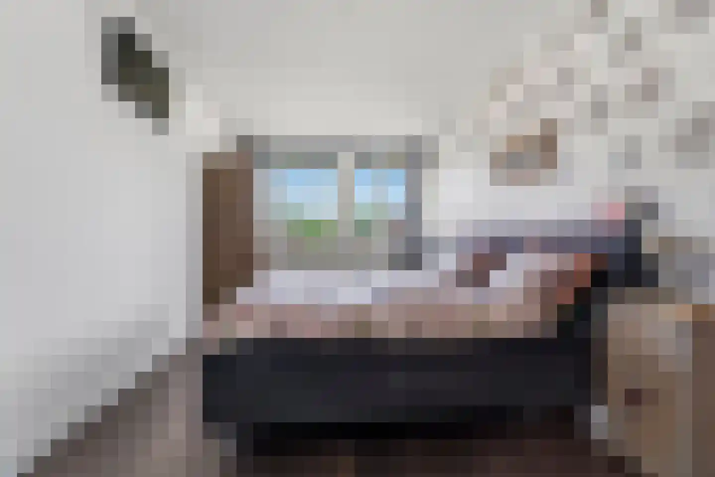 Morijnenhof 23 Schaijk thumbnail 5