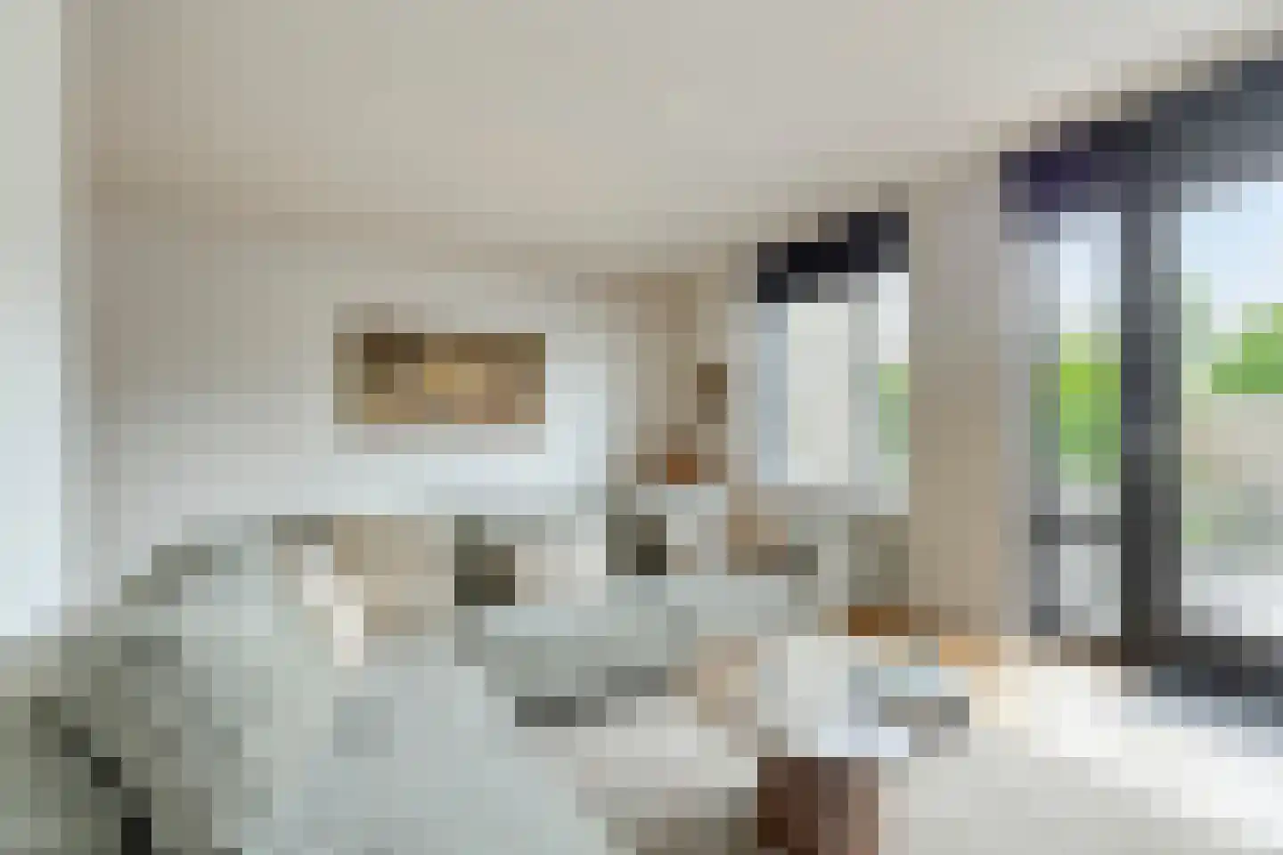 Morijnenhof 3 Schaijk thumbnail 14