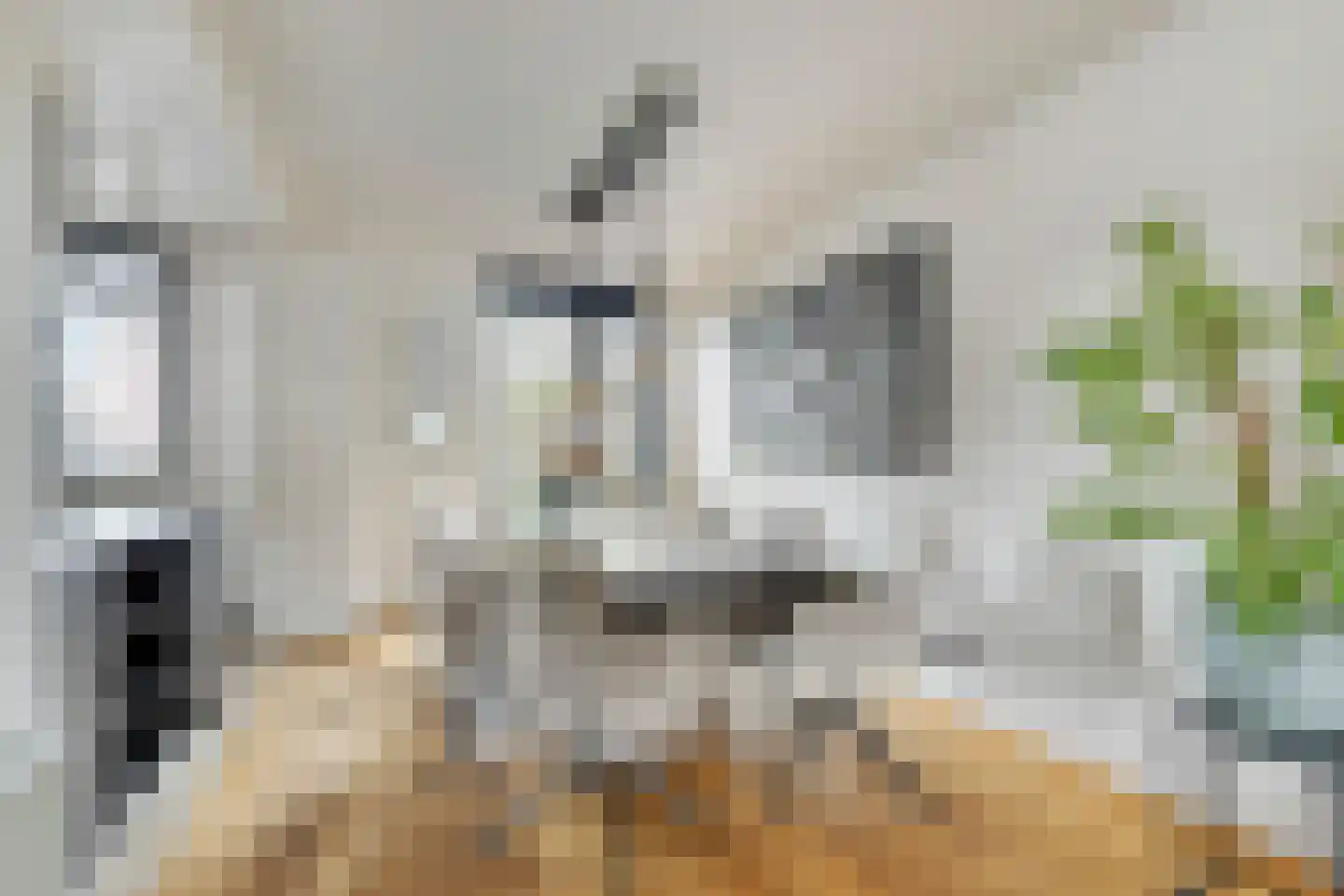 Morijnenhof 3 Schaijk thumbnail 16