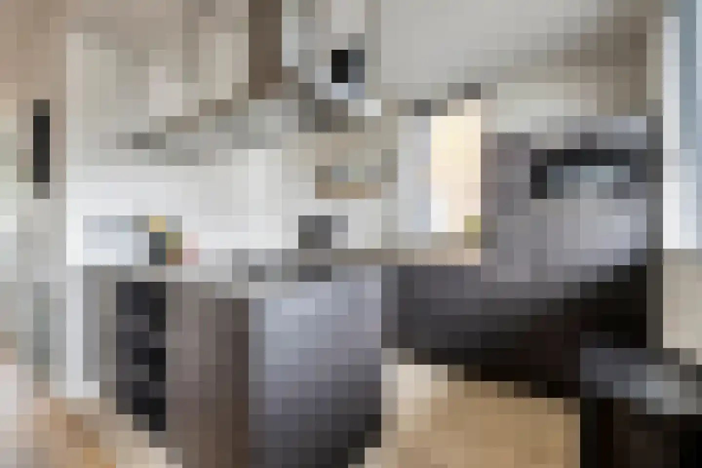 Morijnenhof 3 Schaijk thumbnail 17
