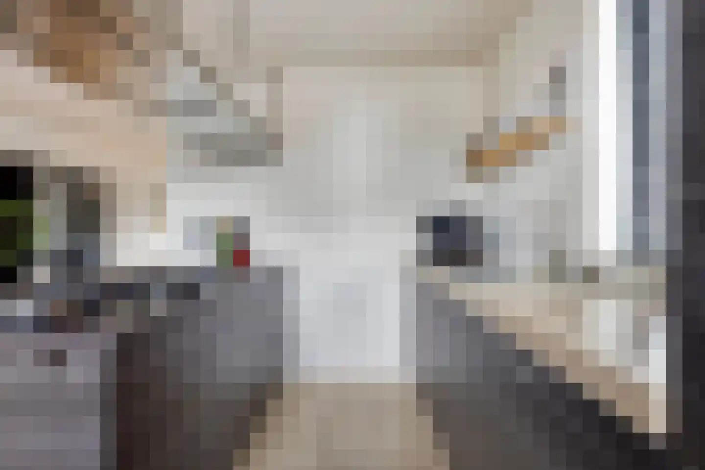 Morijnenhof 3 Schaijk thumbnail 18