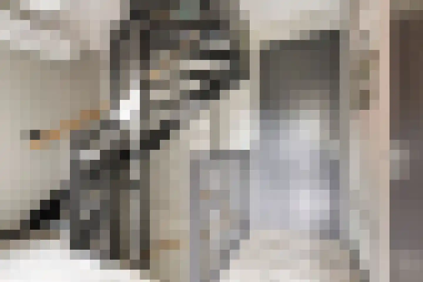 Morijnenhof 3 Schaijk thumbnail 20