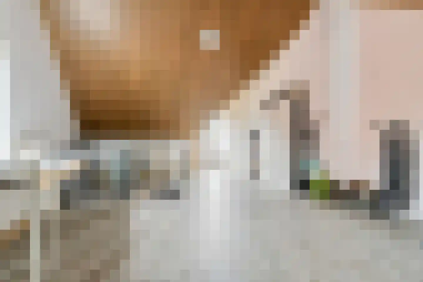 Morijnenhof 3 Schaijk thumbnail 34