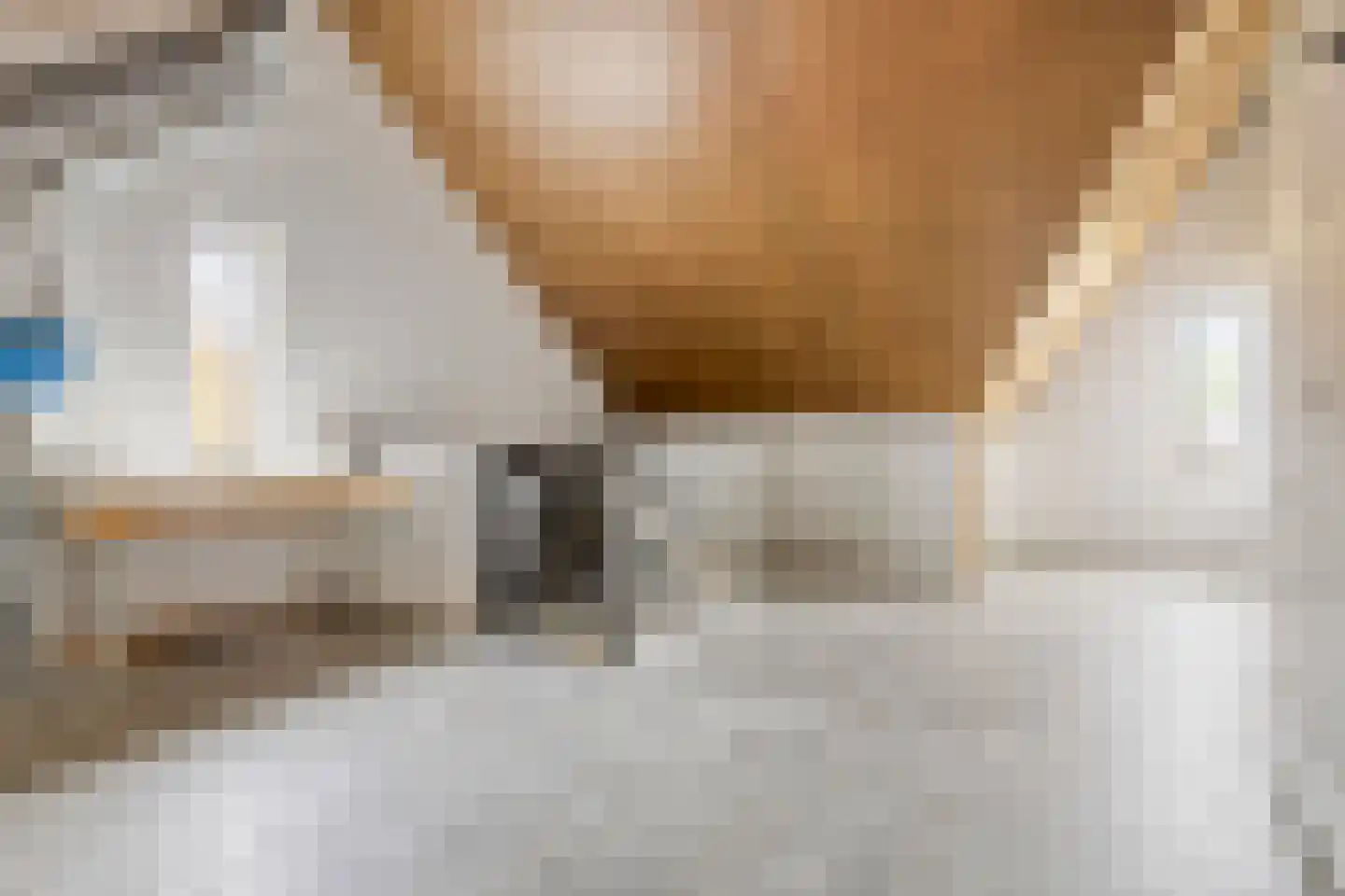 Morijnenhof 3 Schaijk thumbnail 36