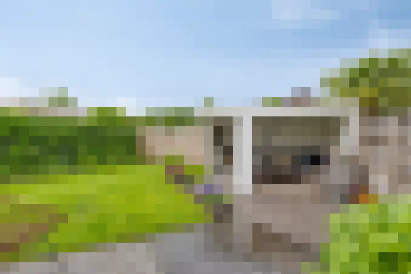 Morijnenhof 3 Schaijk thumbnail 37
