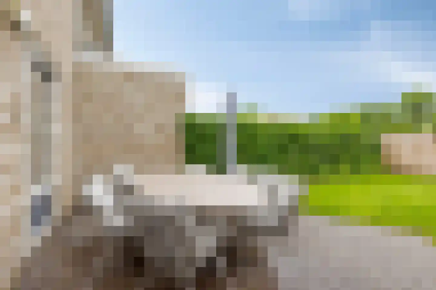 Morijnenhof 3 Schaijk thumbnail 39