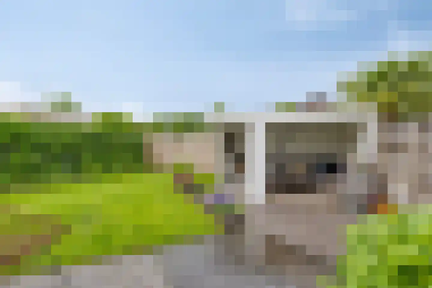 Morijnenhof 3 Schaijk thumbnail 8