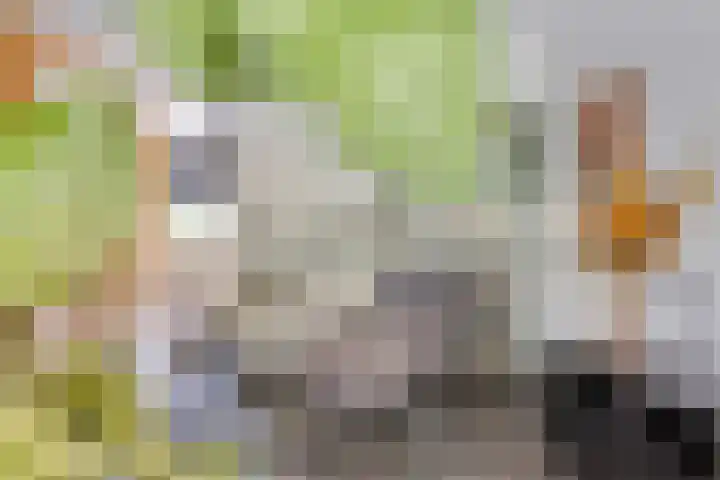 Morijnenhof 5 Schaijk thumbnail 15